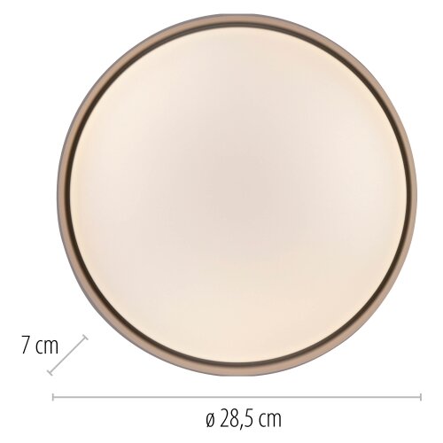 SCH&amp;Ouml;NER WOHNEN 14593-39 - LED prigu&amp;scaron;iva stropna svetiljka TAVOLI LED/10W/230V siva + daljinski upravljač Slike