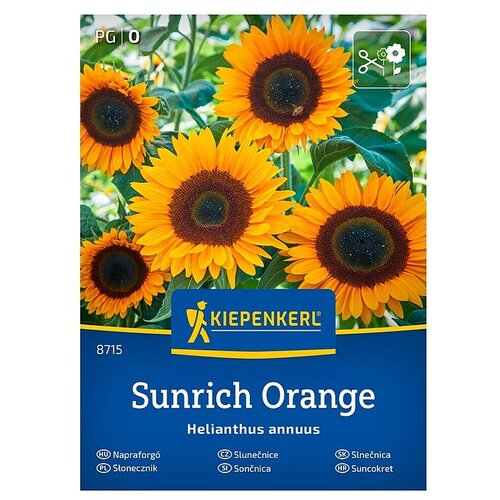 KIEPENKERL Cvetlična semena Sončnica Sunrich Orange F1 (Helianthus annuus, Oranžna) Cene