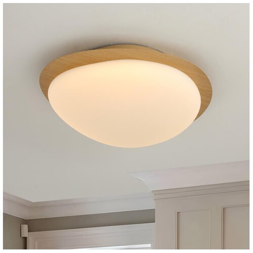  Brilagi - LED plafonsko svetlo VISBY WOOD LED/18W/230V prečnik 38 cm braon Cene