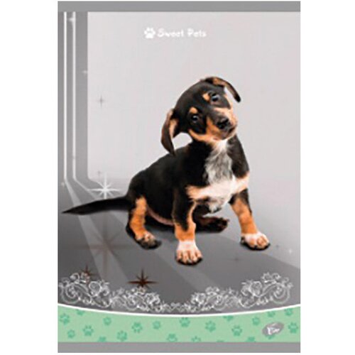 Teka MEKI UVEZ A4 KARO 40 PLUS 2L 80G SWEET PETS ELISA Slike