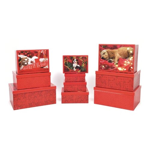 Viter novogodišnja kutija xmas & baby pets ( 68881 ) Slike