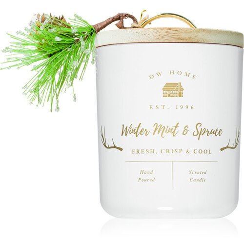 DW Home Farmhouse Winter Mint & Spruce dišeča sveča 244 g Cene