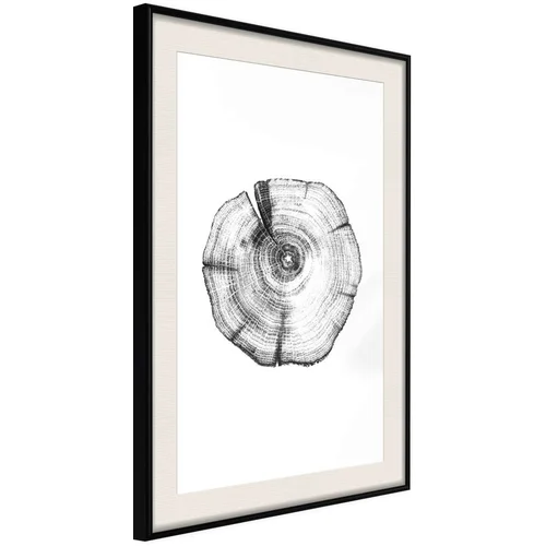  Poster - Tree Rings 40x60