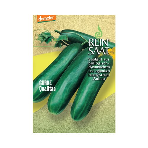 ReinSaat Kumara "Qualitas" Cene