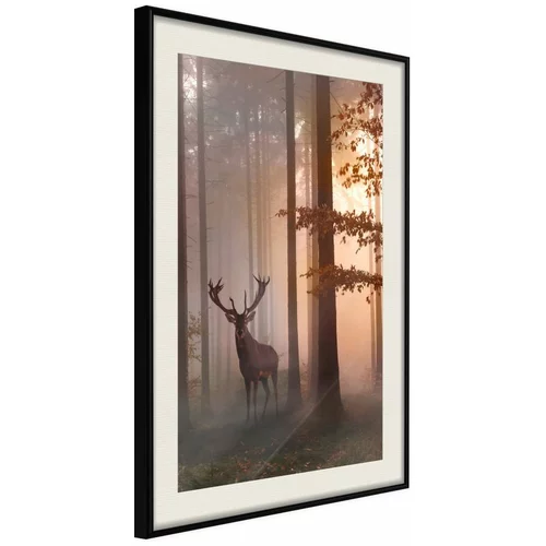  Poster - Forest Seclusion 40x60