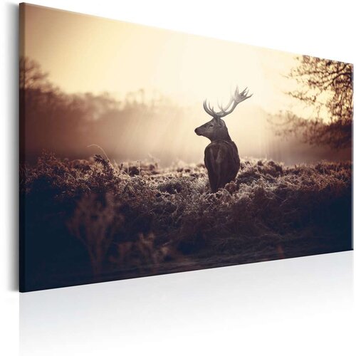  Slika - Lurking Deer 120x80 Cijene