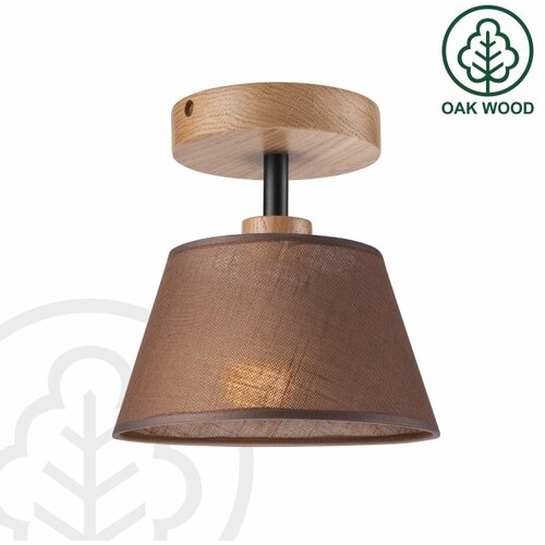  Plafonski luster ANTONIO 1xE14/40W/230V braon Slike