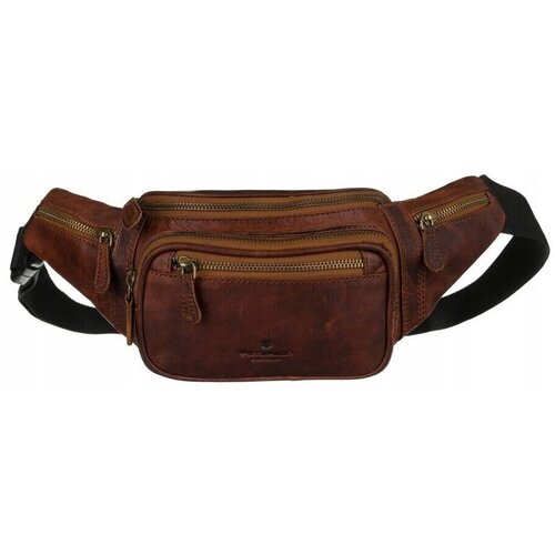 Peterson Torbice za okrog pasu DHPTN2506OLH65623 pisana Cene