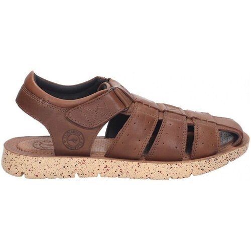 Kangaroos 530-23 Smeđa Slike