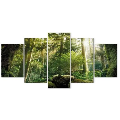  Slika - The Beauty of the Forest 225x112.5 Na talijanskom platnu Cene