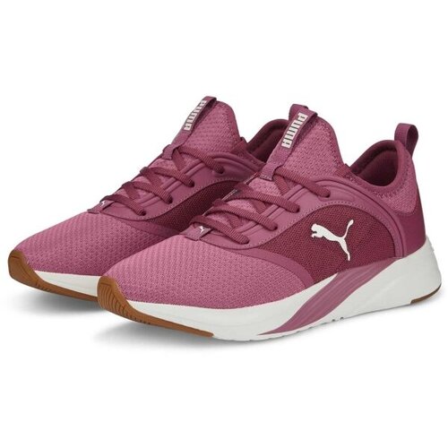 Puma Tek & Trail Softride Ruby Bordo Cene