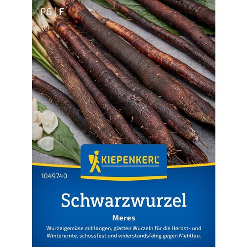 KIEPENKERL Črni koren "Meres" - 1 pkt. Cene