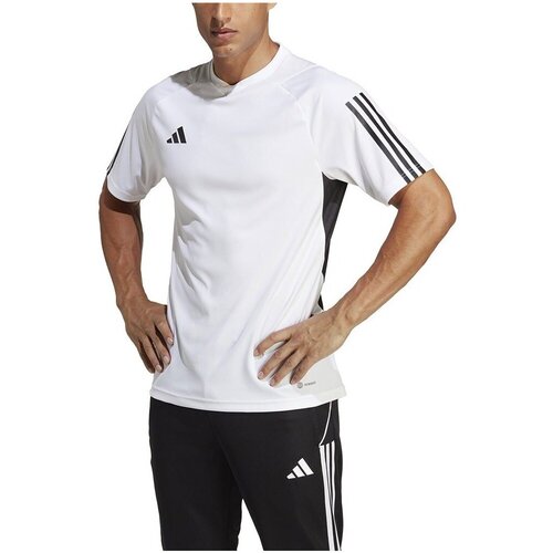 Adidas Majice s kratkimi rokavi Tiro 23 Competition Jersey M Bela Slike