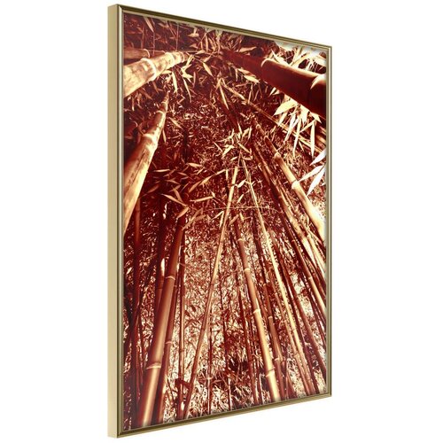  Poster - Asian Forest 40x60 Slike