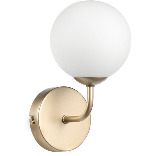  ONLI - Zidna lampa PALOMA 1xG9/10W/230V zlatna Slike