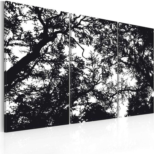  Slika - Dense forest 60x40 Slike