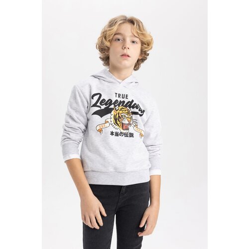 Defacto Boy&#39;s Hooded Printed Sweatshirt Cene