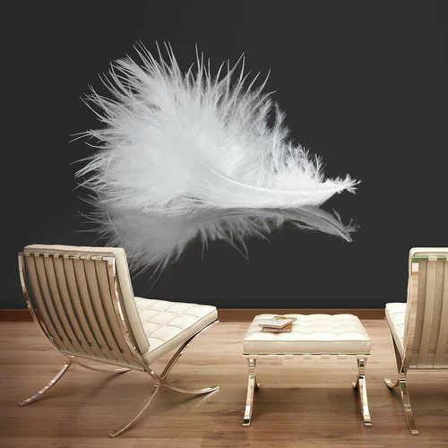  tapeta - White feather 350x270
