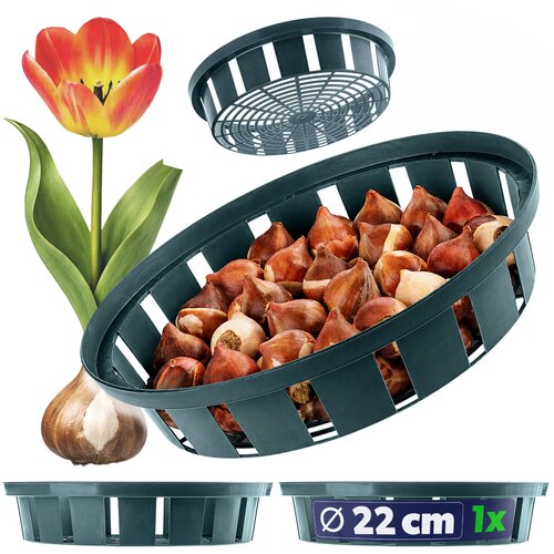 KADAX ko&amp;scaron;ara za čebulice, cvetlične čebulice, tulipane, pokrovčke za sajenje, 18 cm, (5000362470) Slike