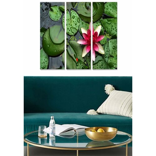 Wallity Set slika MDF65876896, 3 dijela Cijene