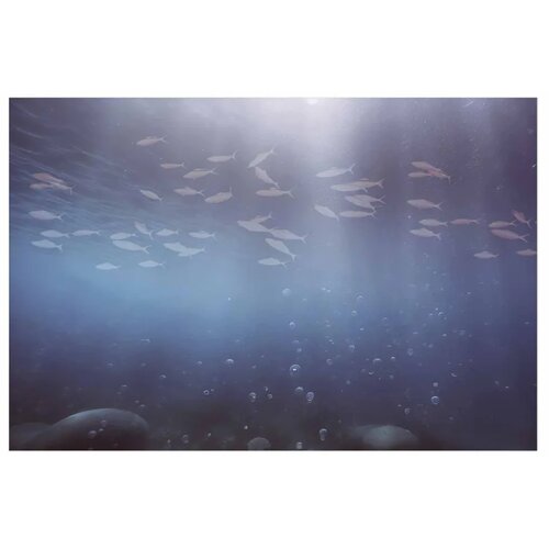  Plakat - Fish in the Depths 42x29.7 Bez okvira Cene
