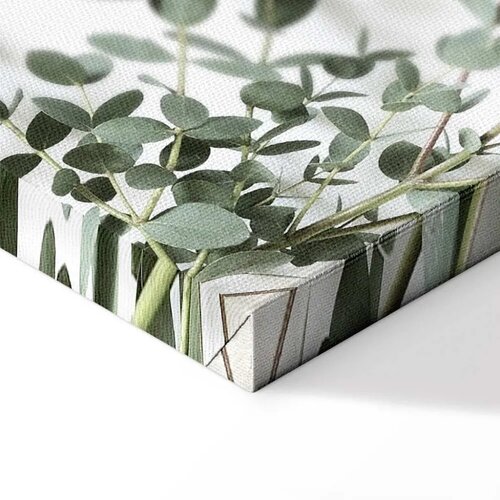  Slika - Eucalyptus Parvifolia (1 Part) Vertical 60x90 Slike