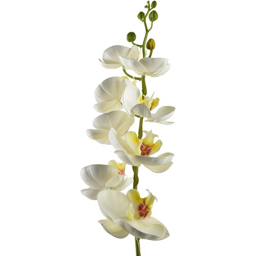Mondex umetna orhideja plastika Viridis 85cm bela 1kos, (5000329488) Cene