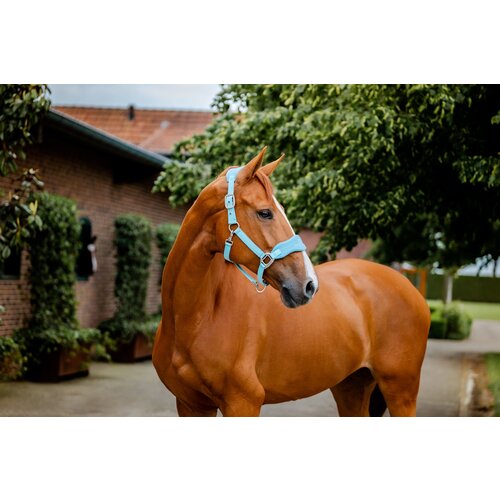 Horseware Ireland Oglavka Signature Grooming, Blue Haze - Full Slike