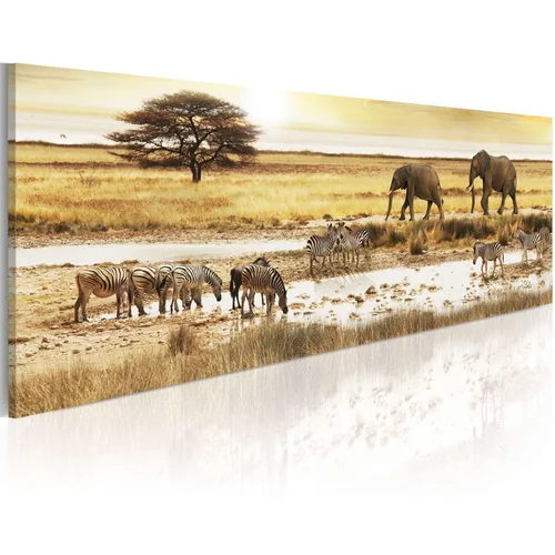  Slika - Africa: at the waterhole 135x45