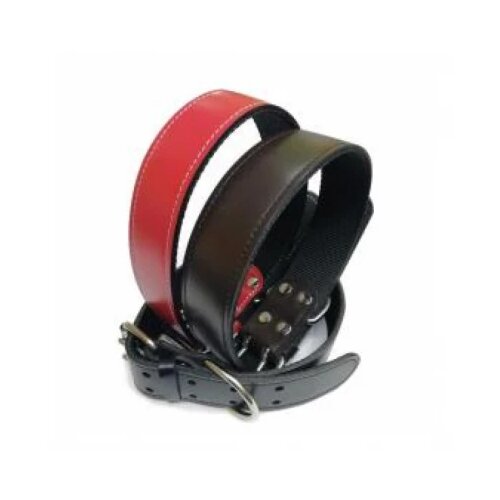 Iguana Ogrlica od koze G50x80 Slike