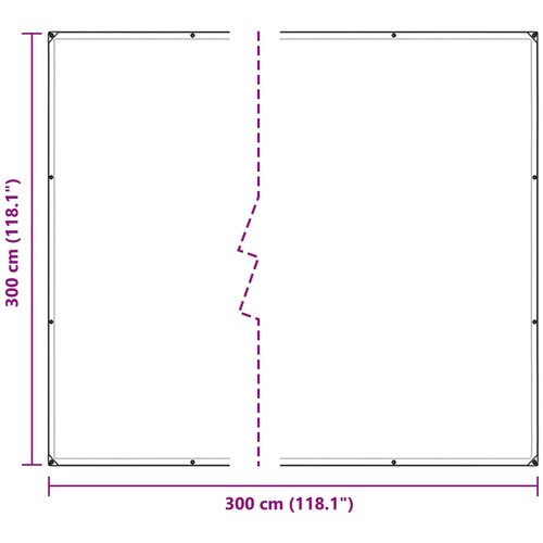  Pokrov za biljke *Transparent*an 3 x 3 m PVC Slike