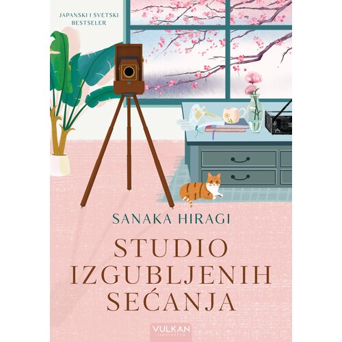  Studio izgubljenih sećanja Slike