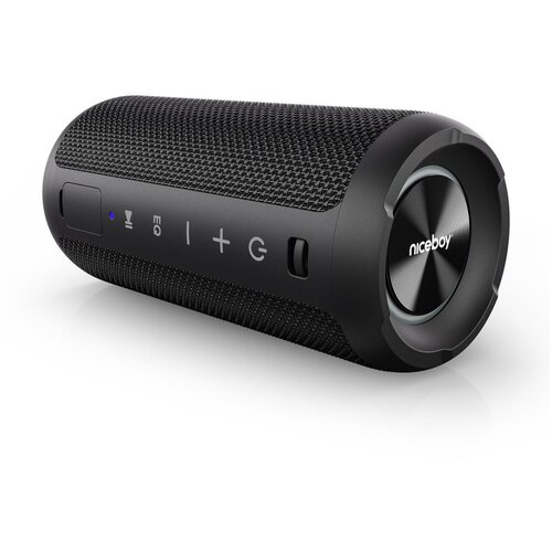Niceboy Orion - LED bežični zvučnik sa mikrofonom 24W/2200 mAh IPX7 crna Cene