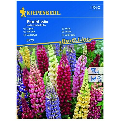 KIEPENKERL Sjeme cvijeća Vučika Pracht Mix (Lupinus polyphyllus, Raznobojna) Cijene