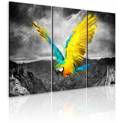  Slika - Bird-of-paradise 90x60