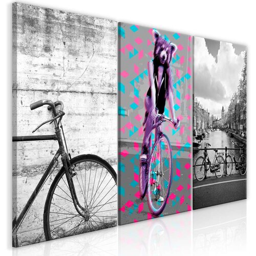  Slika - Bikes (Collection) 60x30 Slike