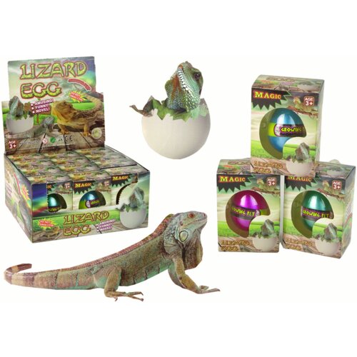  Hatching Magic Lizard Egg Growing 6 cm. Cene