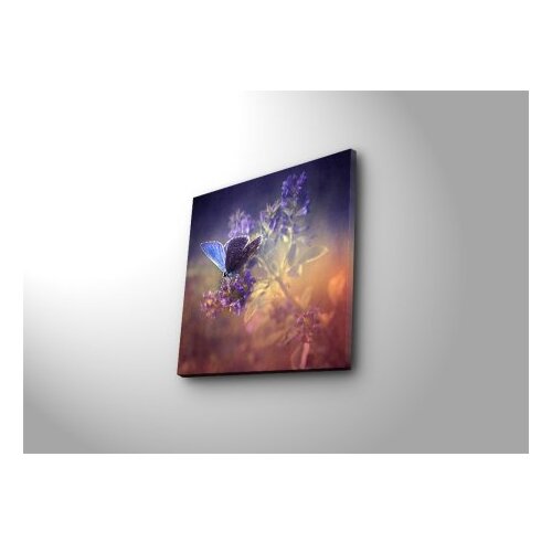 Wallxpert Multikolor slika na platnu 4545K-36 Slike