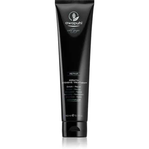 Paul Mitchell Awapuhi Wild Ginger regeneracijska maska za suhe in poškodovane lase 150 ml