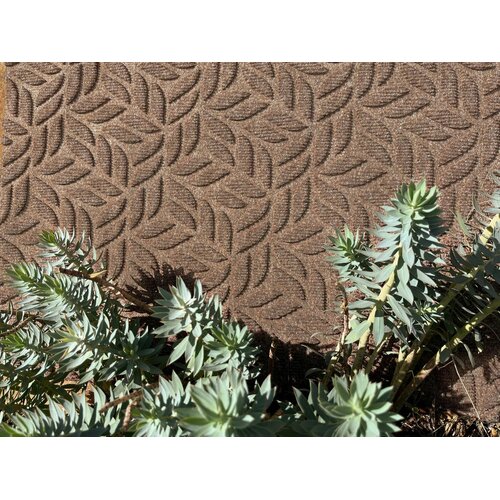 Wash+dry PREDPRAŽNIK Dune Leaves Taupe 60/90 cm reliefno umazano rjava Slike