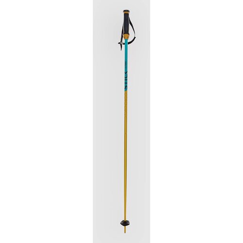 Völkl Phantastick 16mm Poles 2025 Ski Poles yellow Cene