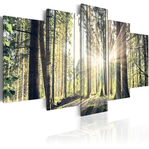  Slika - Forest Temple 100x50 Slike