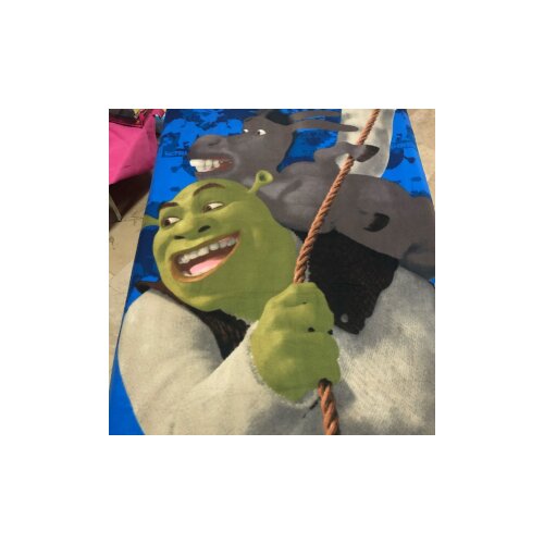 HOBBY Shrek dekica 130×160 Cijene