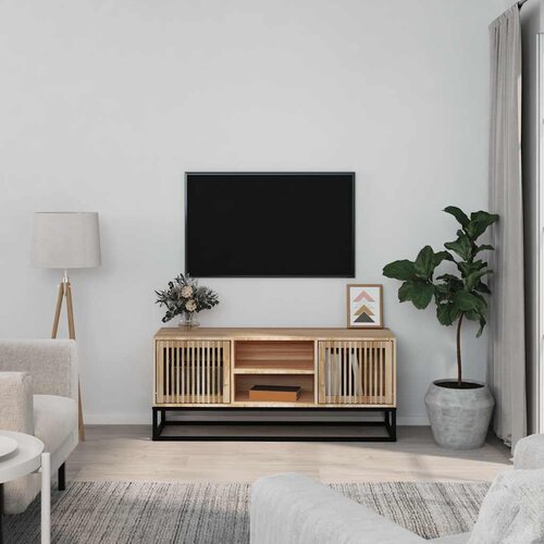 TV ormarić 105x30x45 cm od konstruiranog drva i željeza Cijene