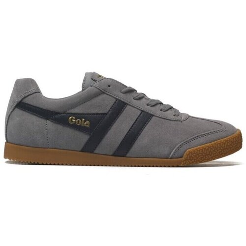 Gola Harrier sarena Cijene