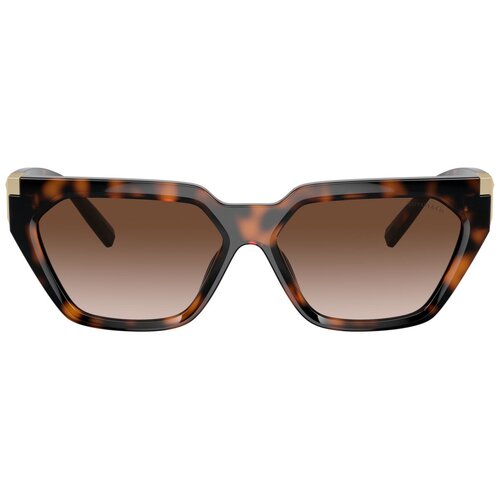 Tiffany Naočare za sunce TF 4205U 80153B Cene