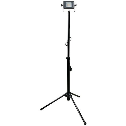 PROFI DEPOT LED reflektor (10 W, D x Š x V: 53,5 x 62 x 135,6 cm, Neutralno bijelo) Cijene