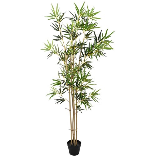  Umjetno bambusovo drvo Zelena 75,5 x 18 x 175 cm Slike