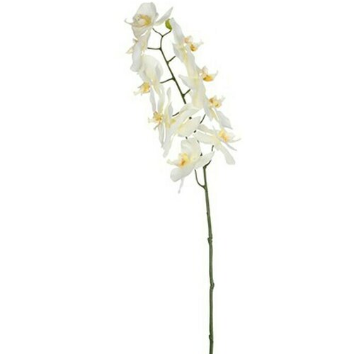  Umjetni cvijet Orhideja (Visina: 71 cm, Blanca, Plastika) Cijene