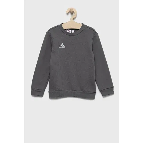 Adidas Otroška mikica siva barva,